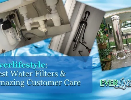Everlifestyle Company Profile