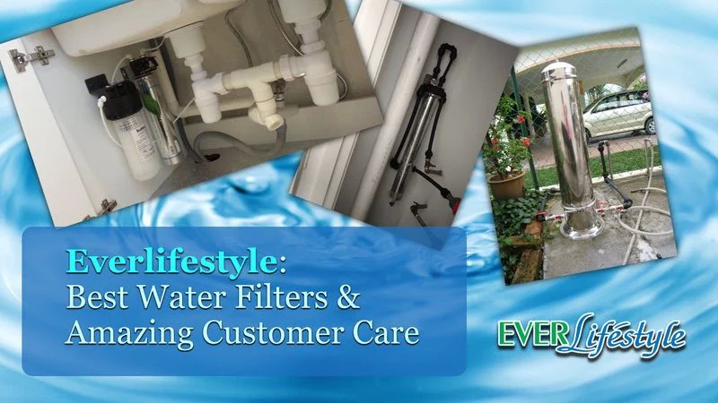 Everlifestyle Company Profile